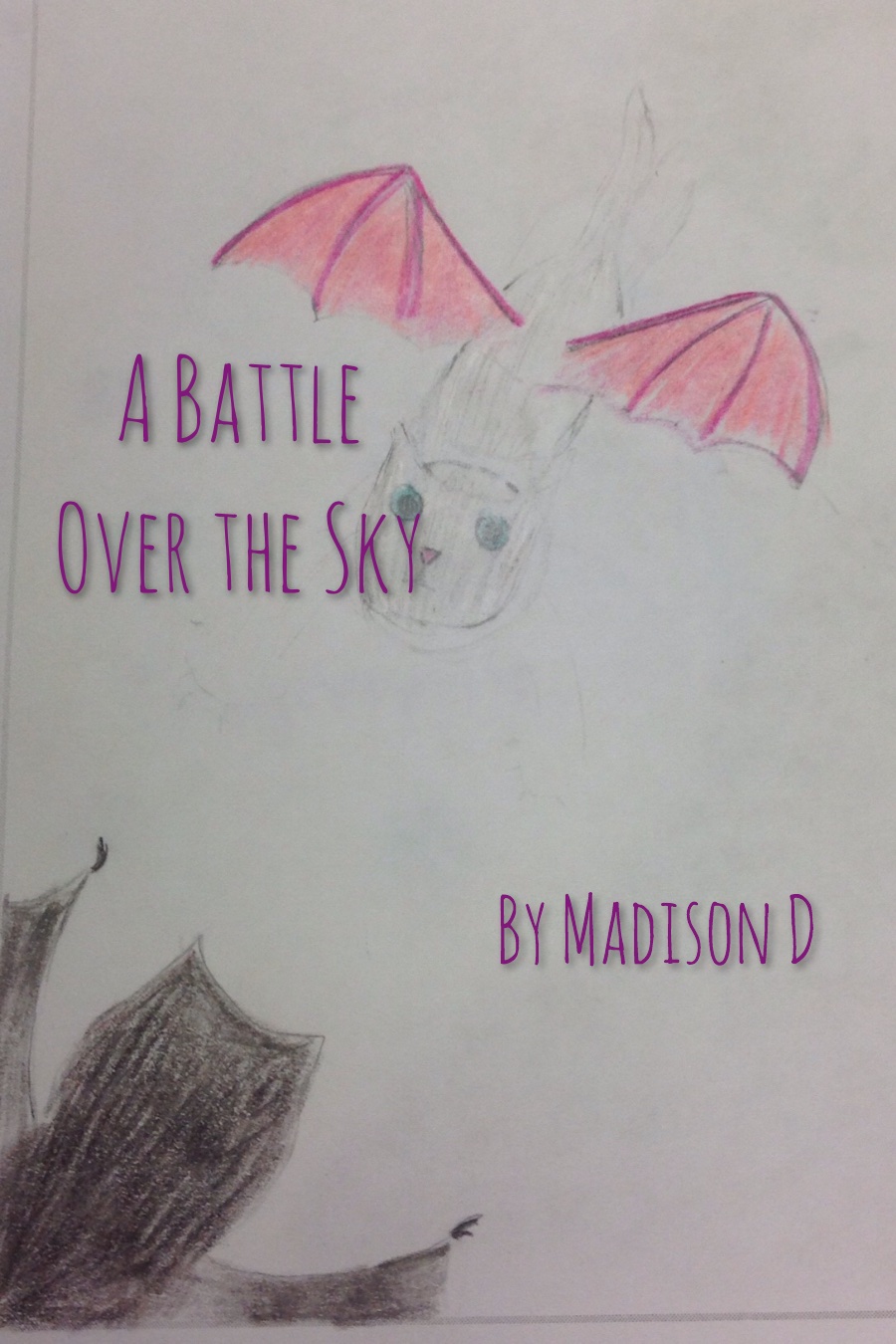 A Battle Over the Sky by Madison D