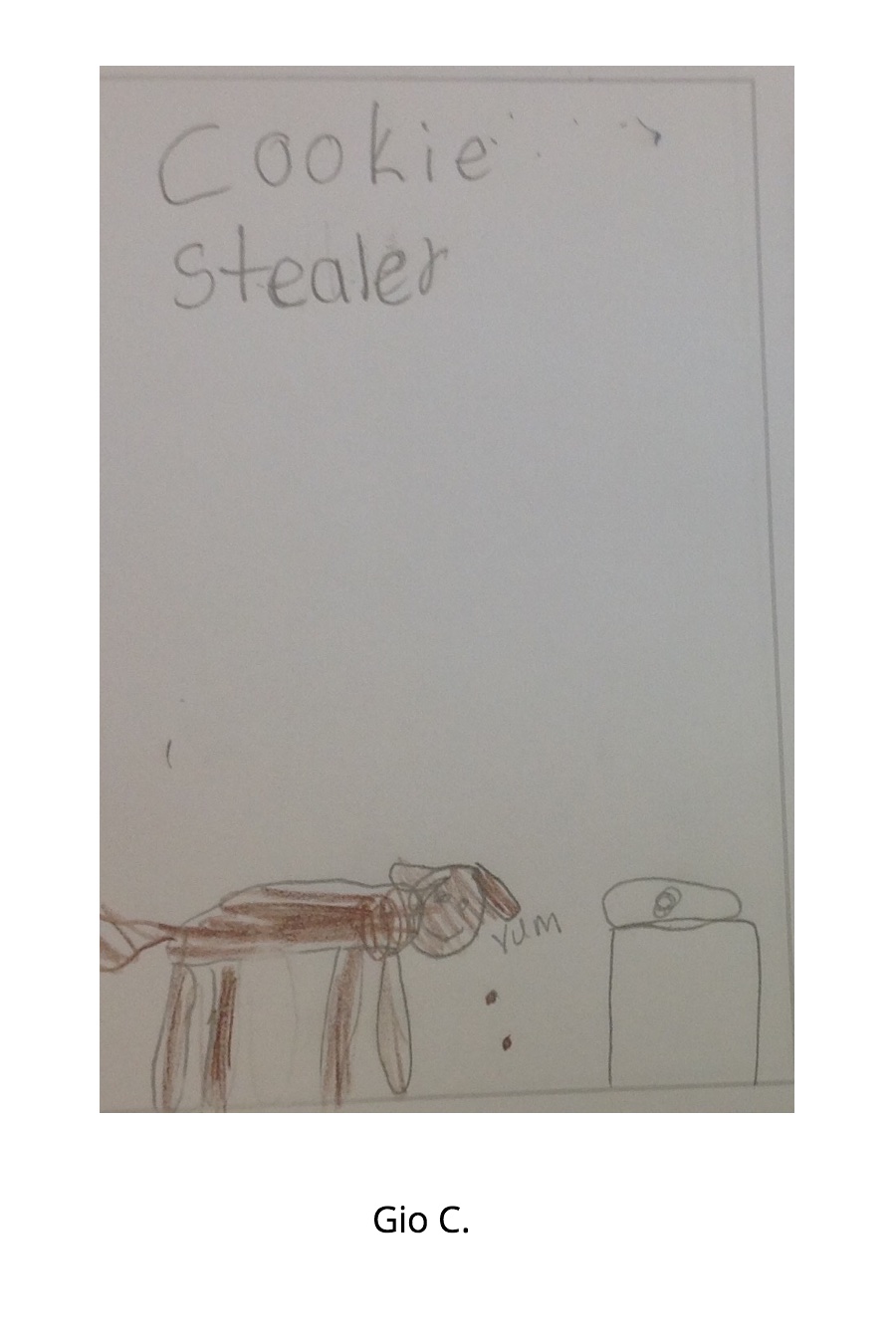 COOKIE STEALER by Gio C