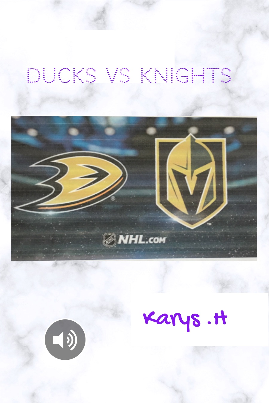 Ducks vs Knights