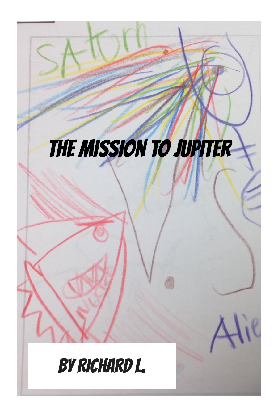 The Mission to Jupiter by Richard L (2)
