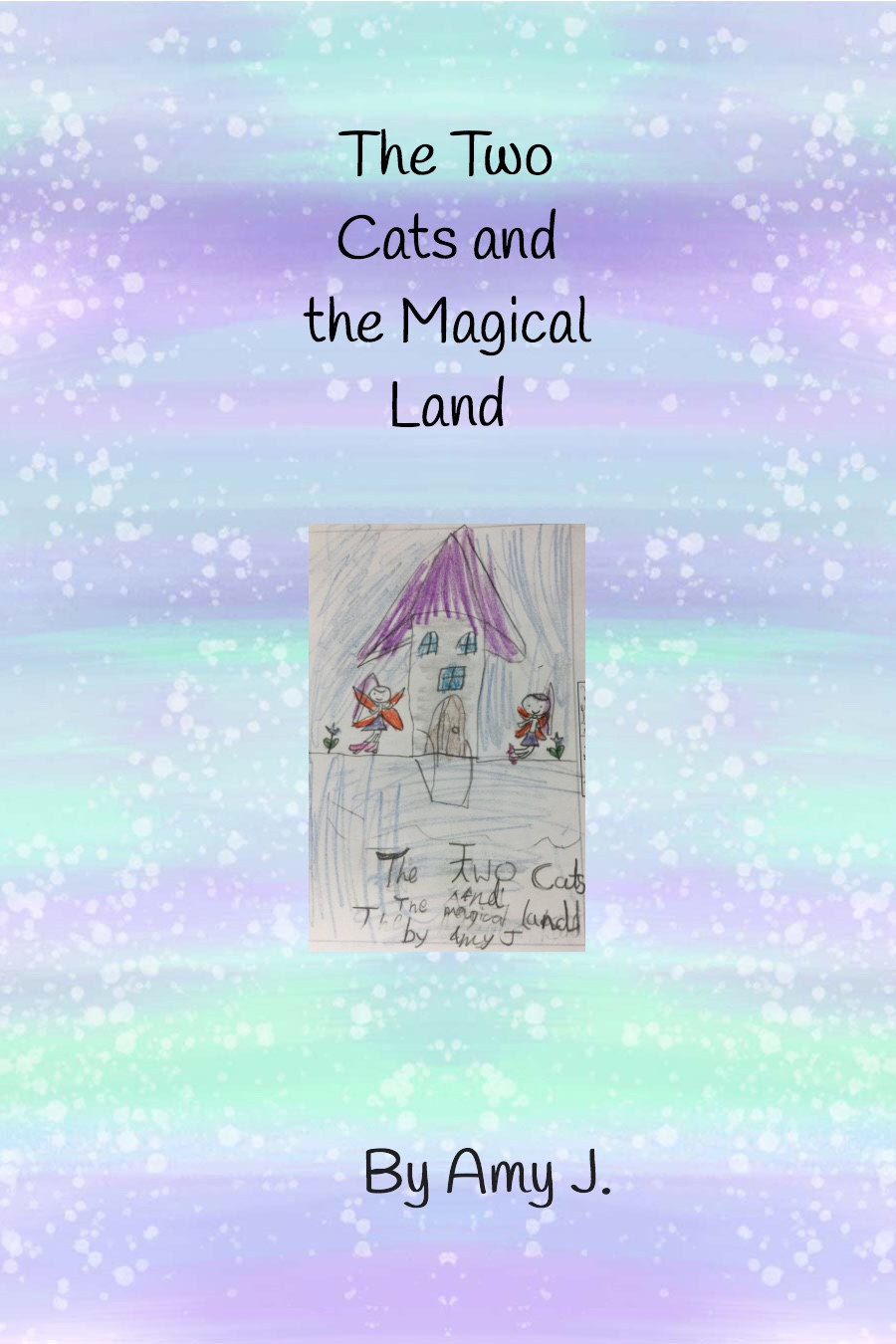 The Two Cats and the Magical Land by Amy J