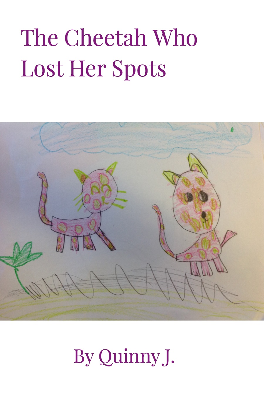 The Cheetah Who Lost Her Spots by Quinn J
