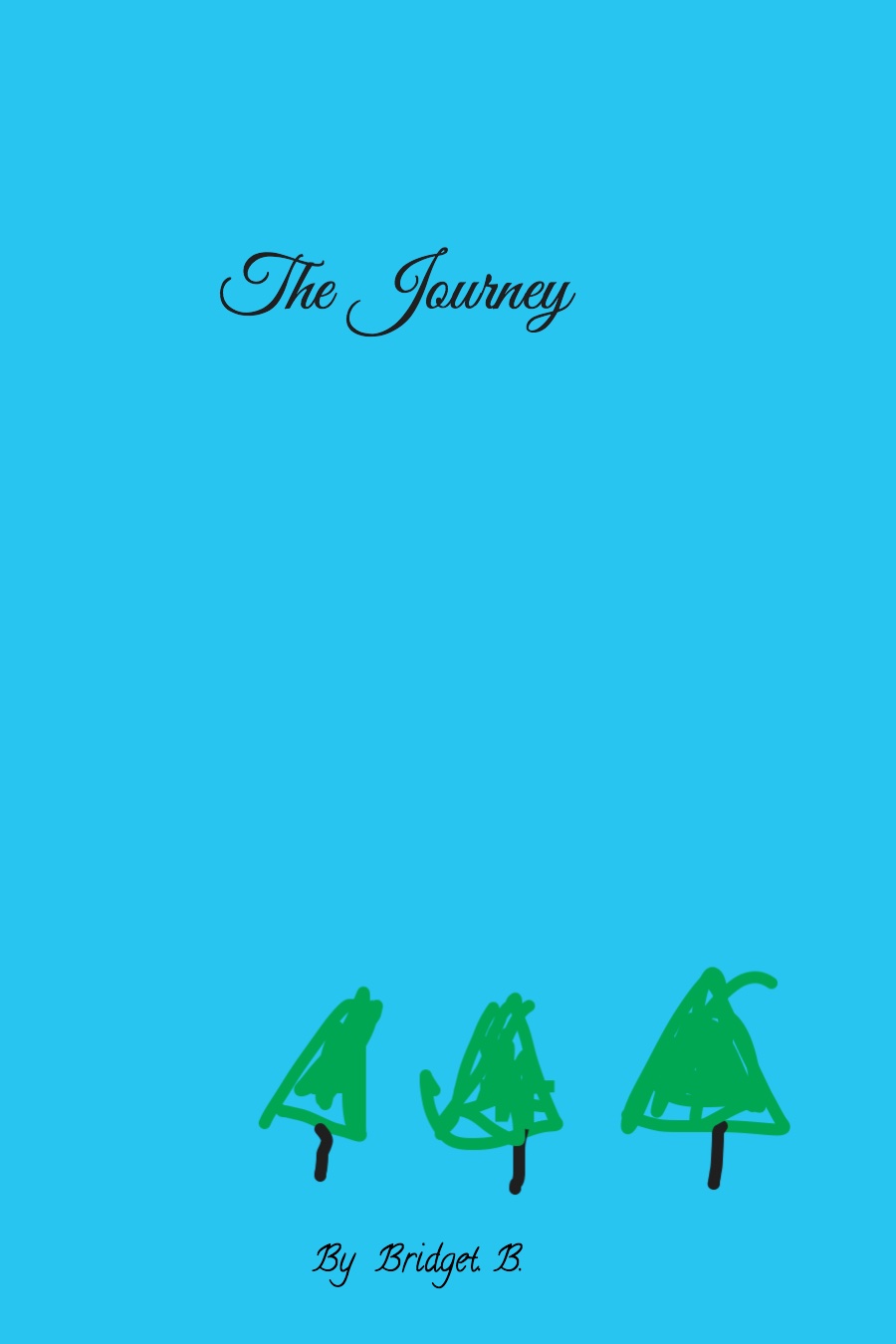 The Journey by Bridget B