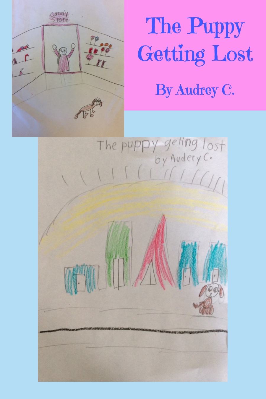 The Puppy Geting Lost by Audrey C