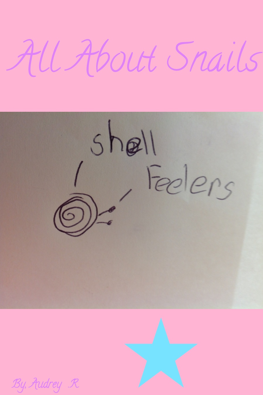 All About Snails by Audrey R