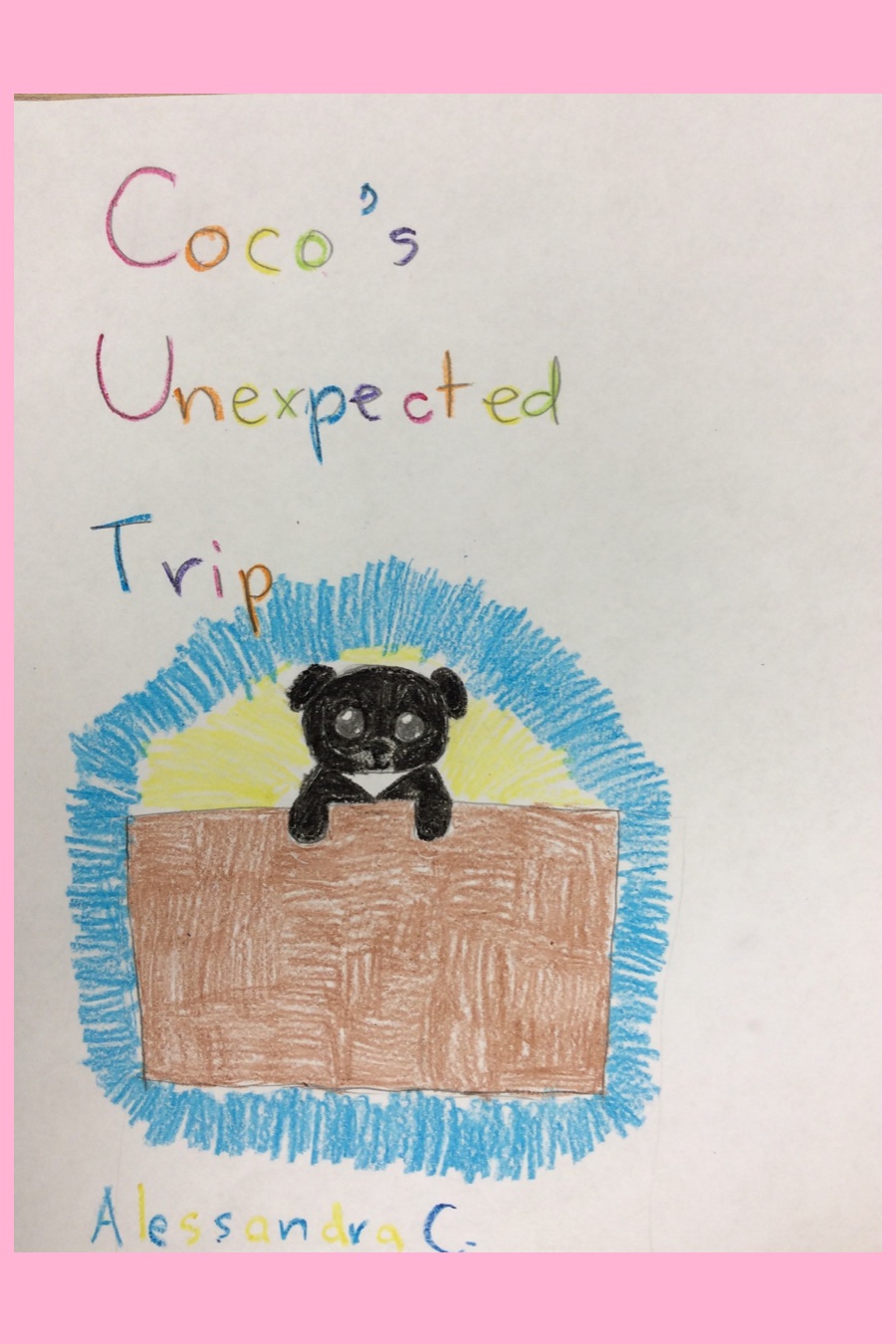 Coco’s Unexpected Trip by Alessandra C