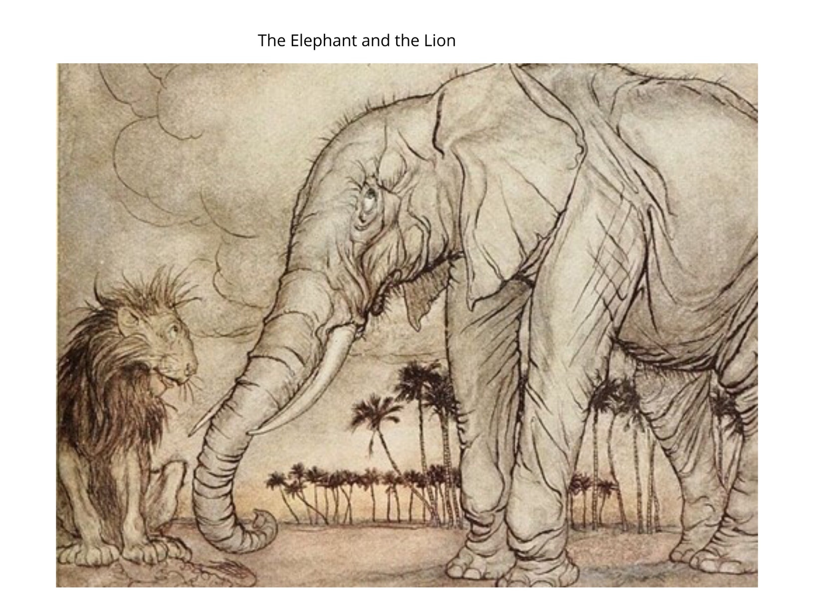 The Elephant and the Lion by Shay W