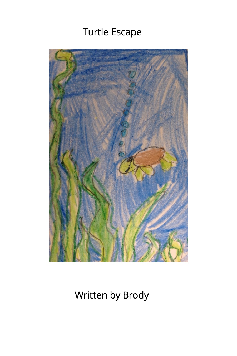 Turtle Escape by Brody C