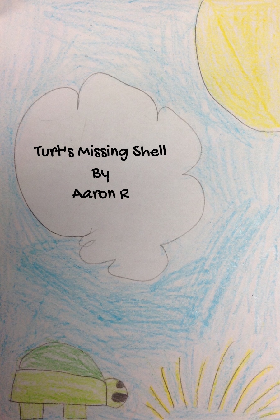 Turt’s Missing Shell by Aaron R