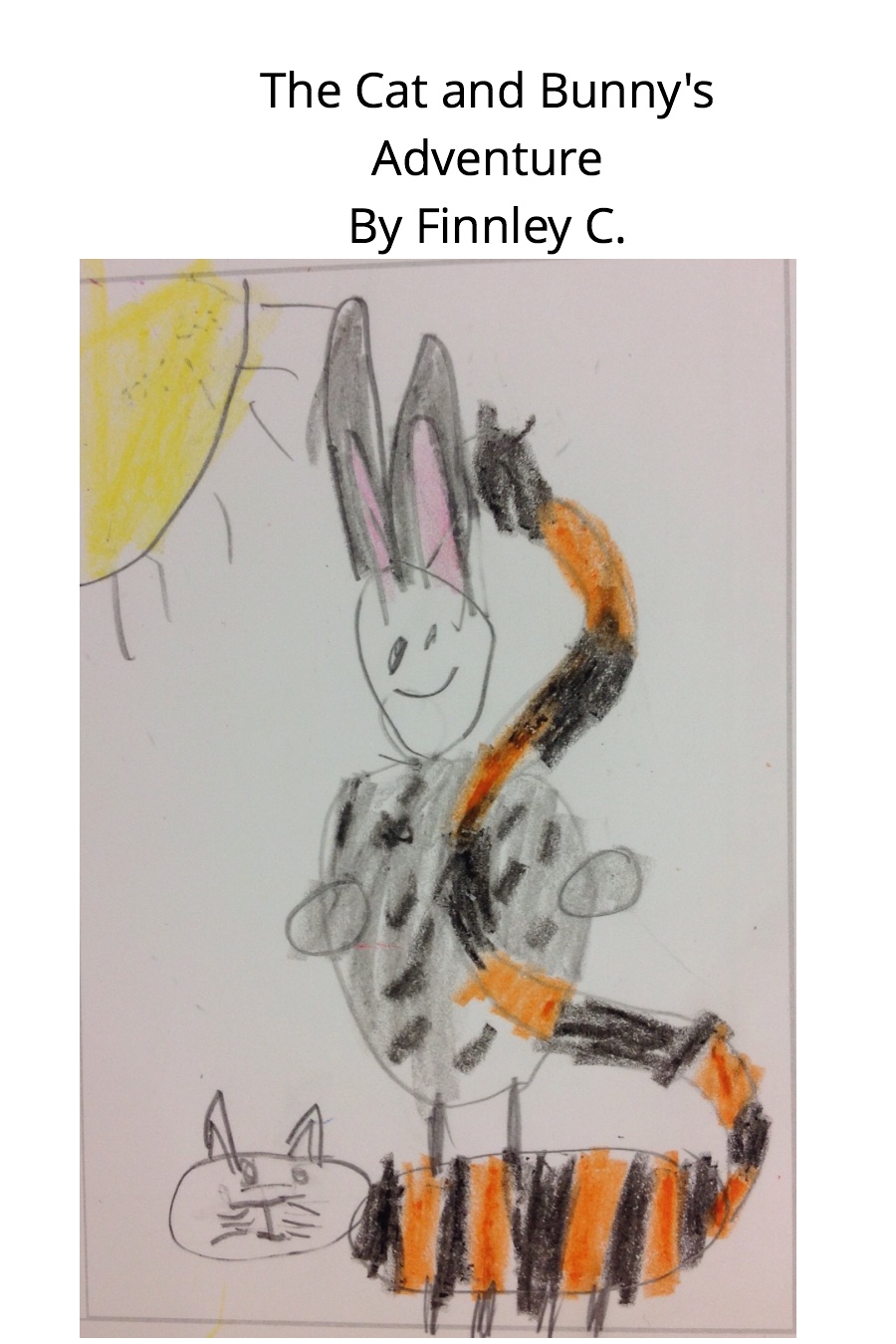The Cat and Bunnys Adventure By Finnley C