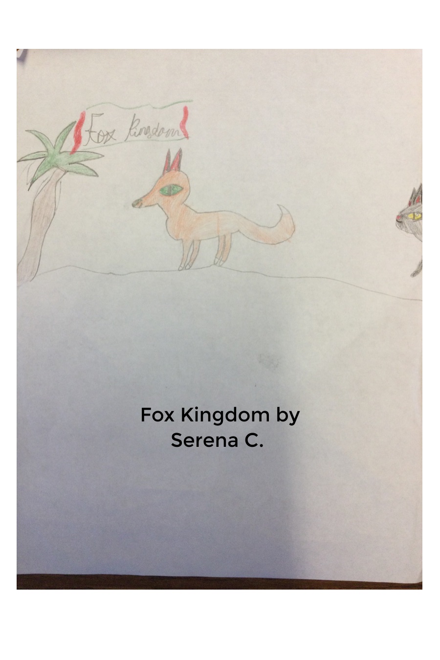 Fox Kingdom by Serena C