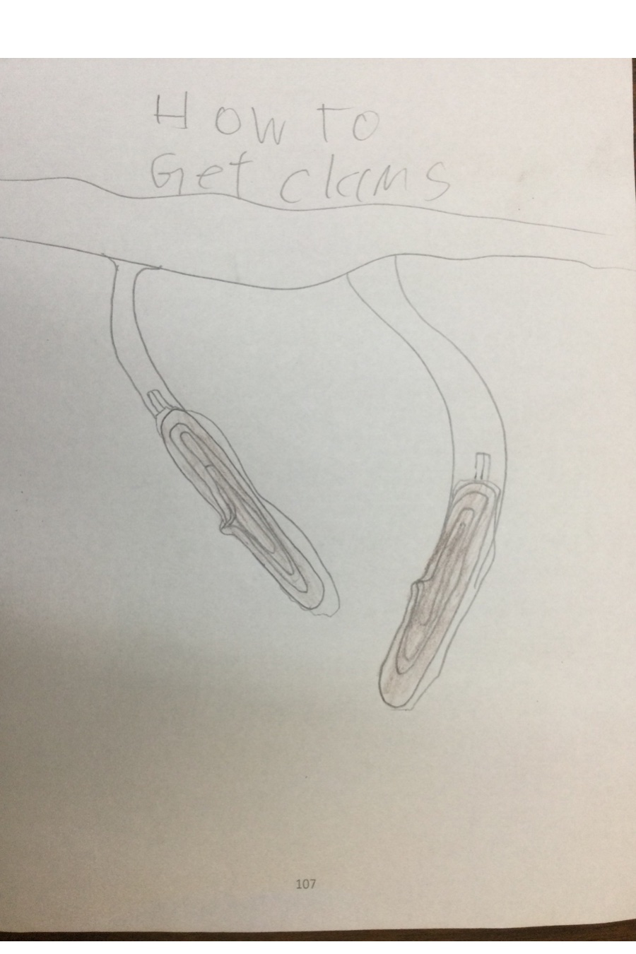 How to Find Clams by Scott T