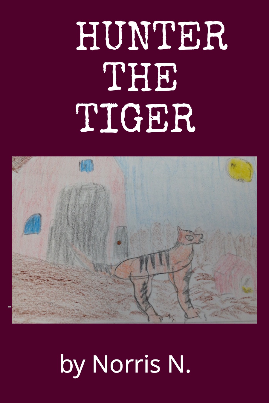 Hunter the Tiger by Norris N