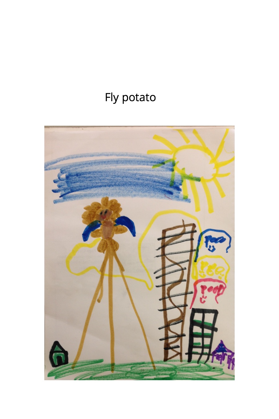 Fly Potato by Colin P