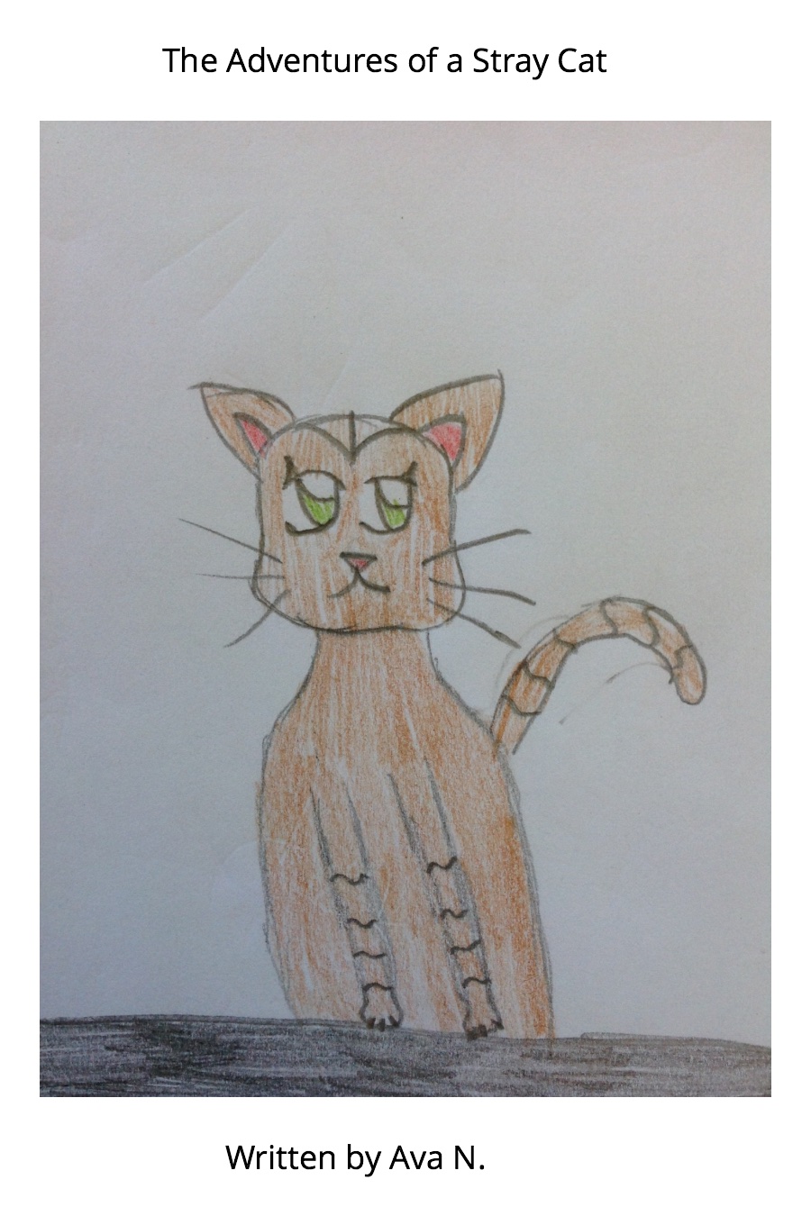 The Adventure of a Stray Cat by Ava N