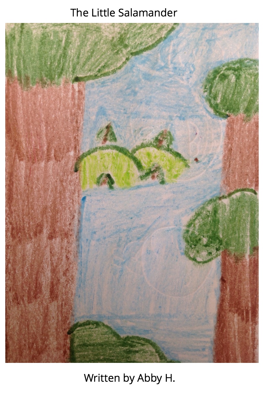 The Little Salamander by Abby H