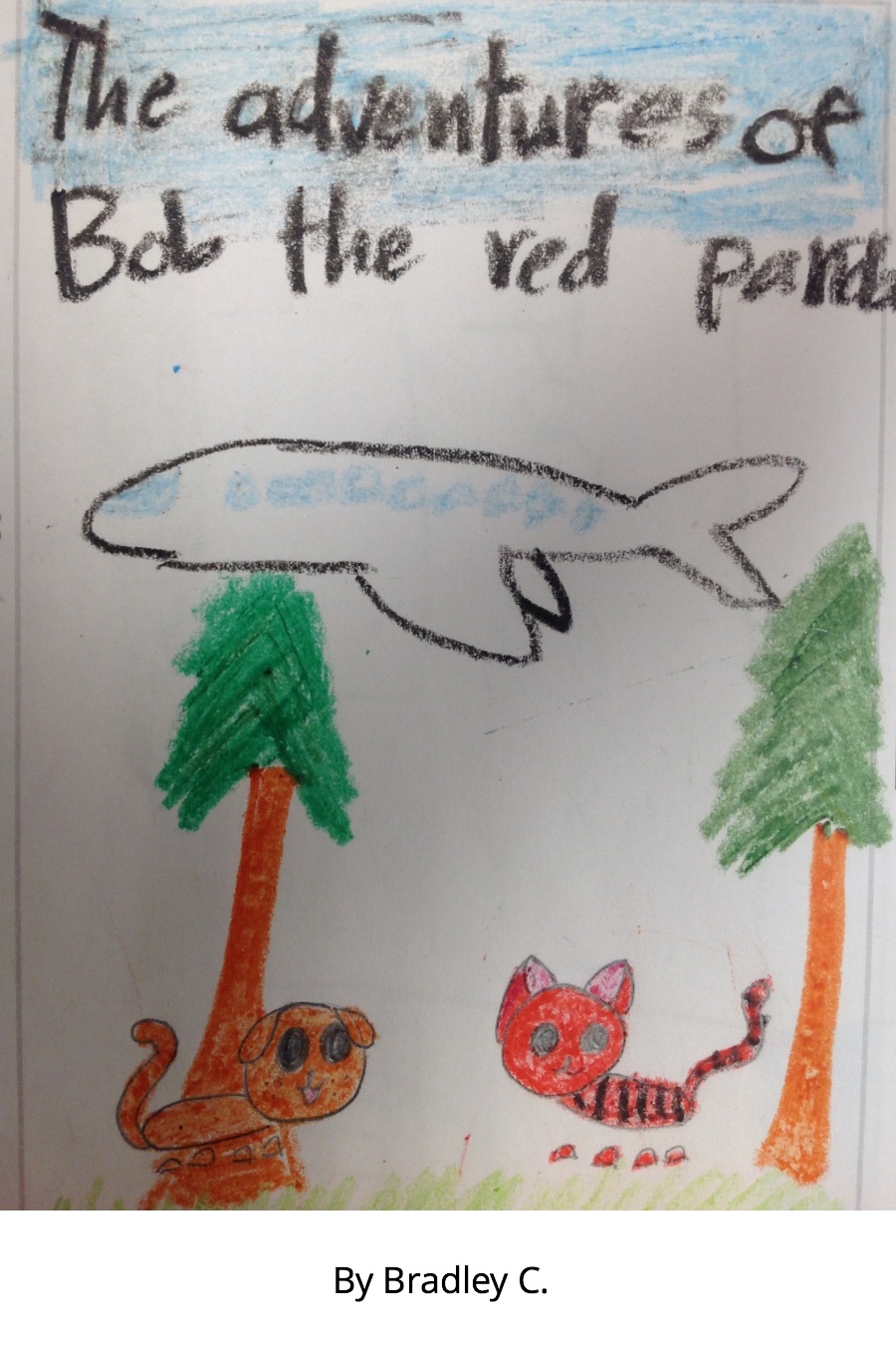 The Adventures Of Bob The Red Panda by Bradley C