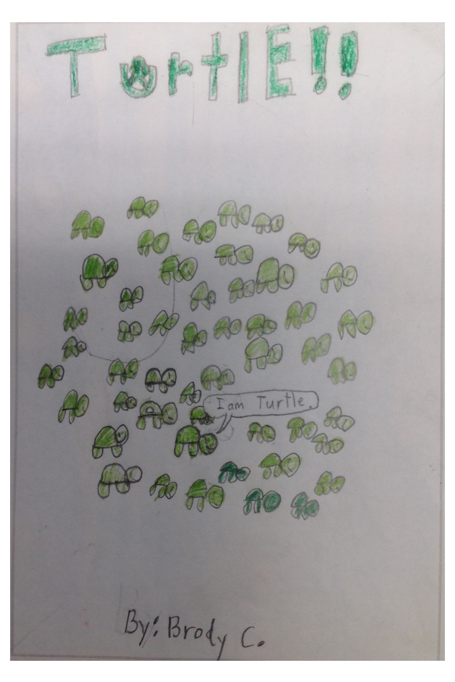 Turtle!! by Brody C
