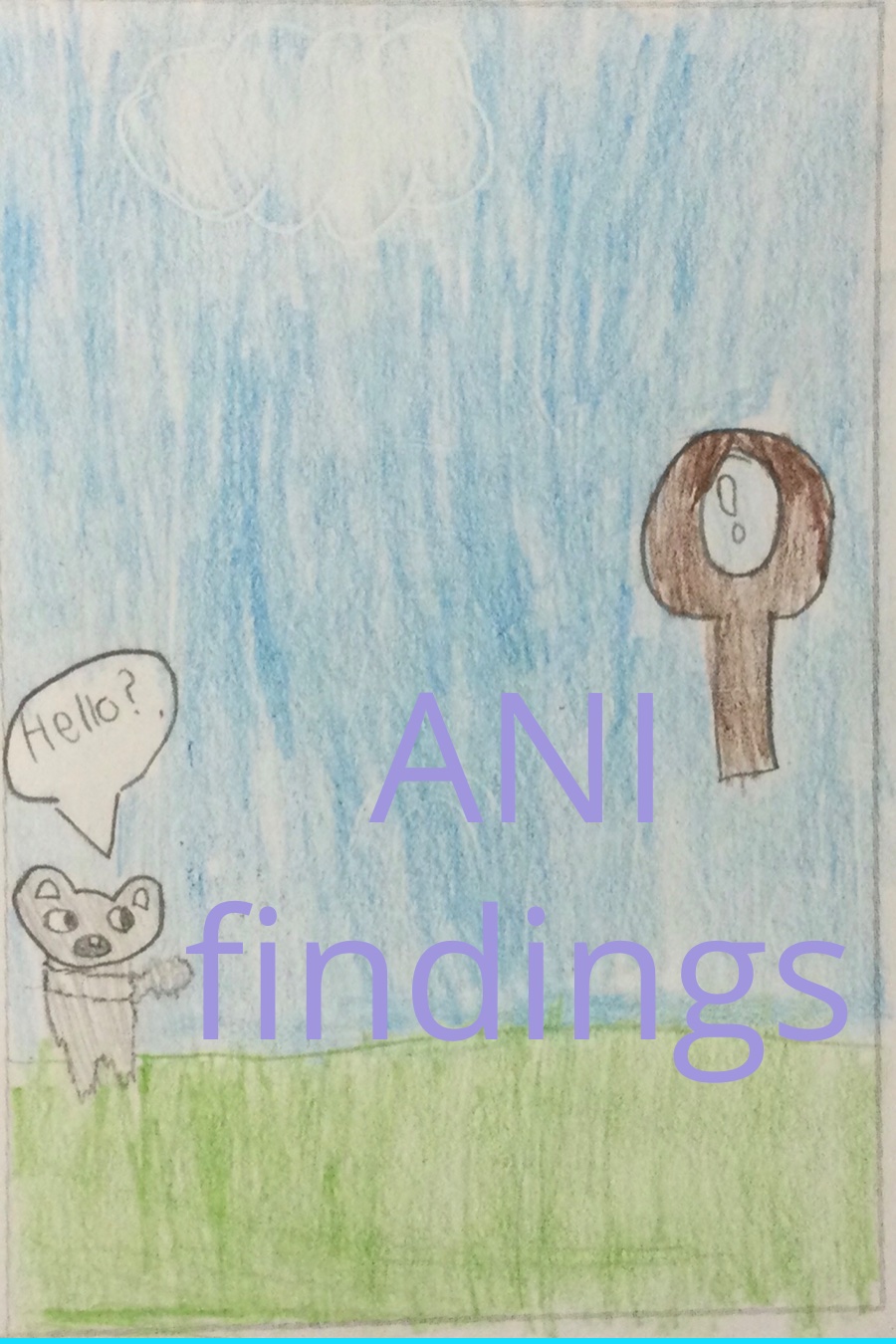 ANI Findings by Maria K