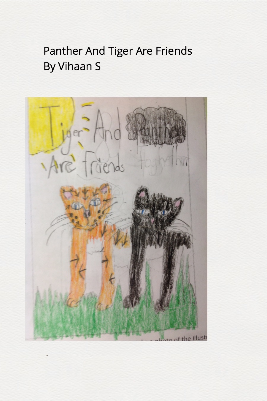 Panther And Tiger Are Friends By Vihaan S