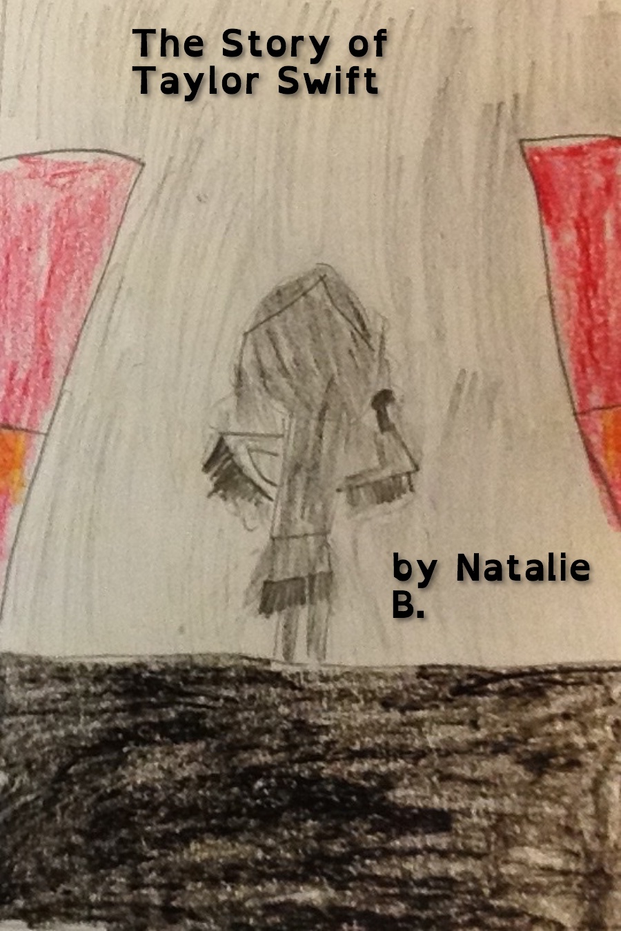 The Story of Taylor Swift by Natalie B