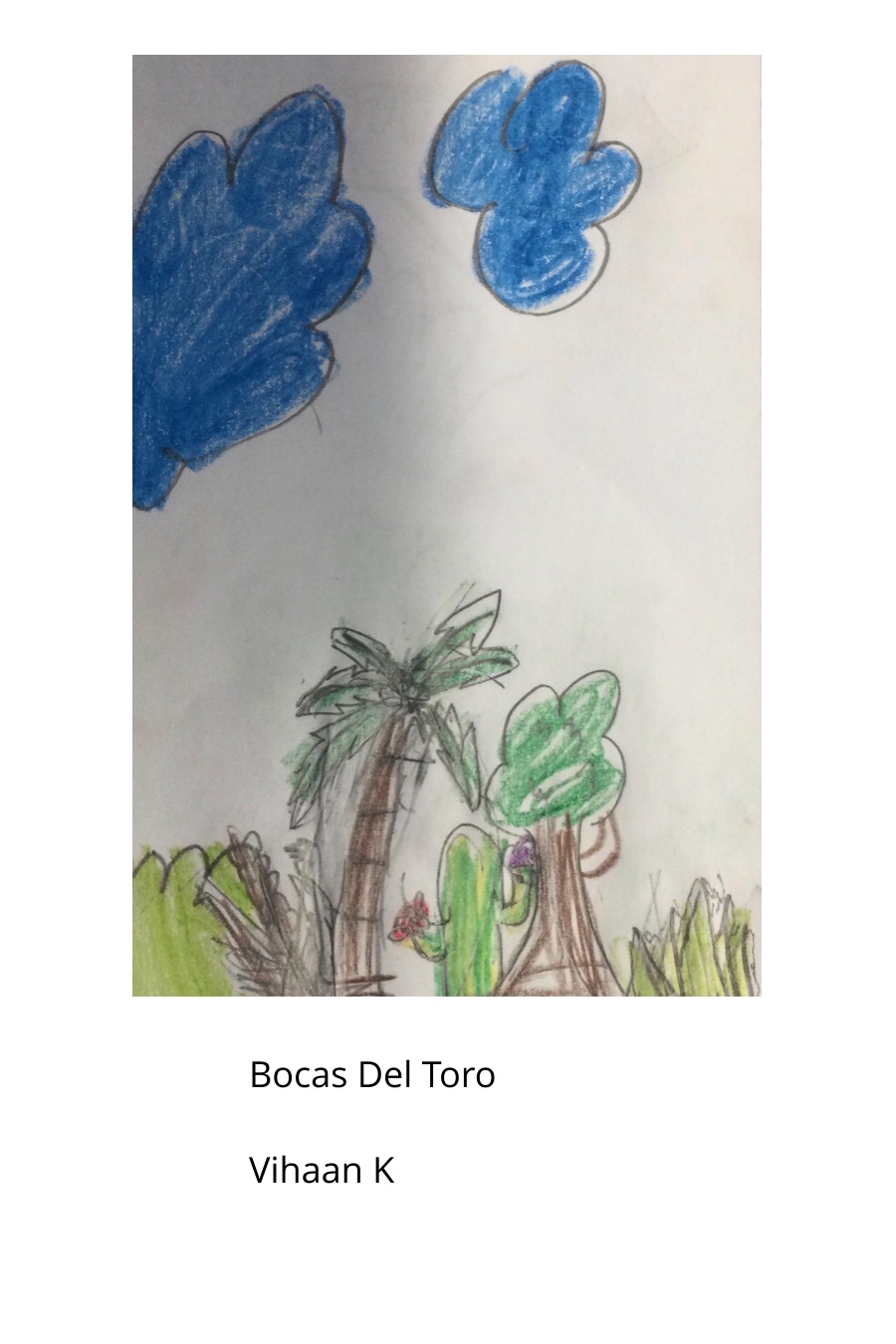 Bocas Del Toro by Vihaan K
