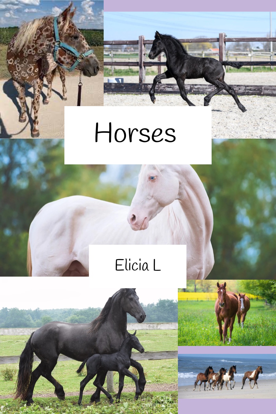Horses by Elicia L