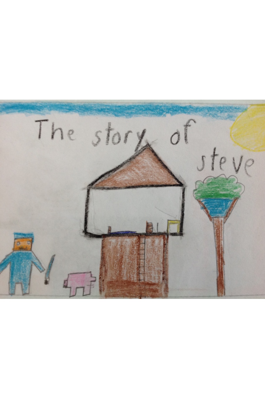 the story of steve by Joshua A