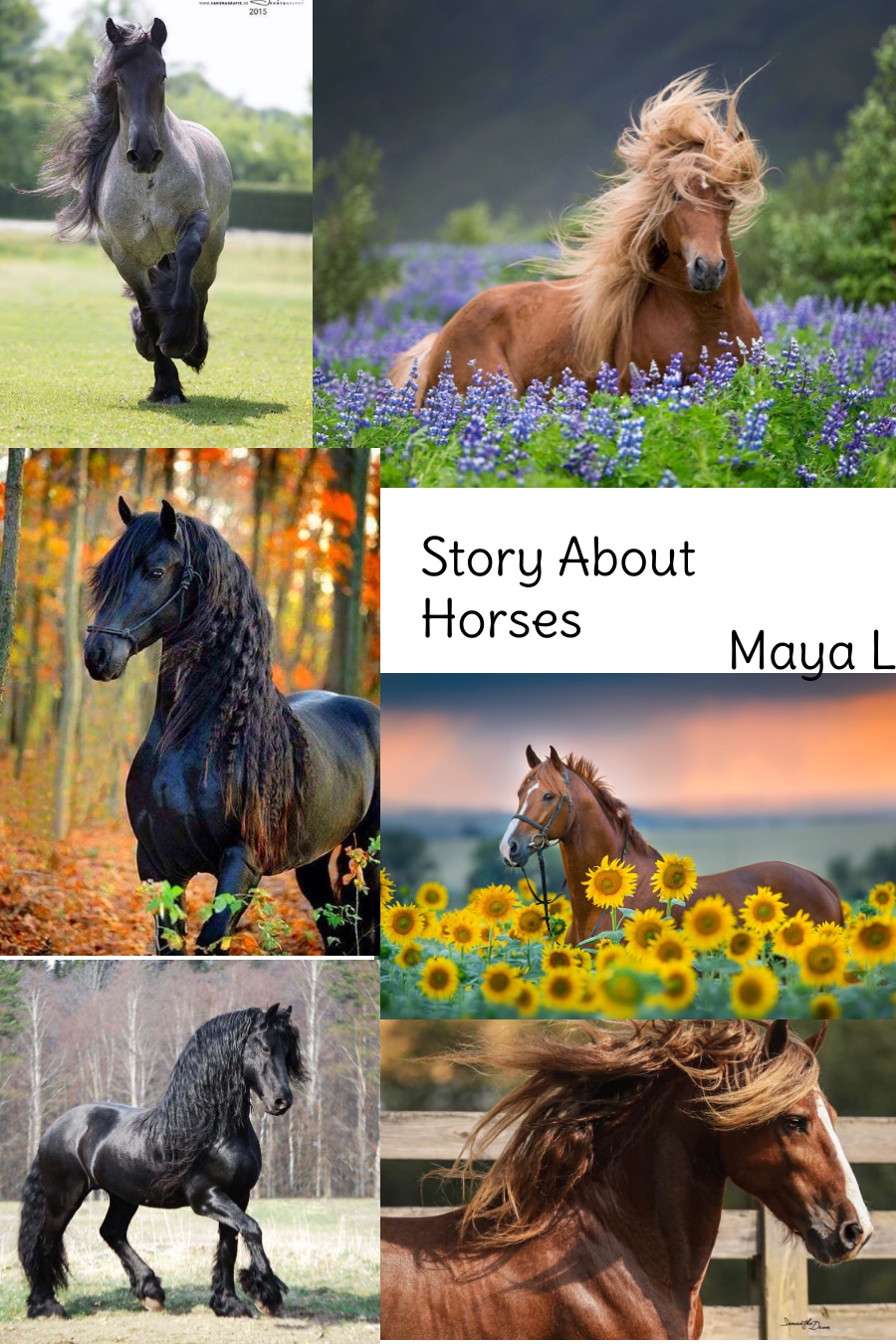 Storys About Horses by Maya L