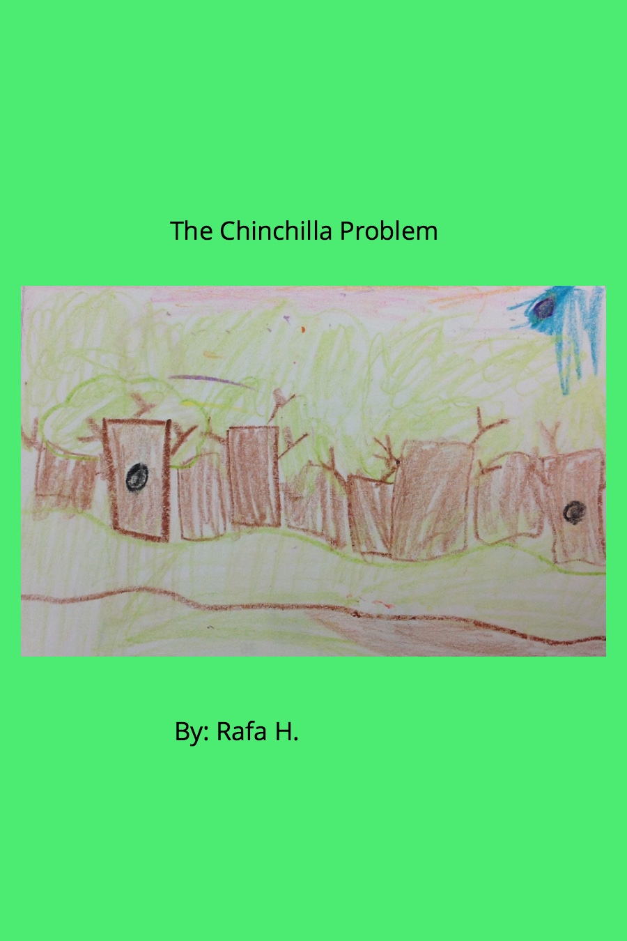 The Chinchilla Problem by Rafa H