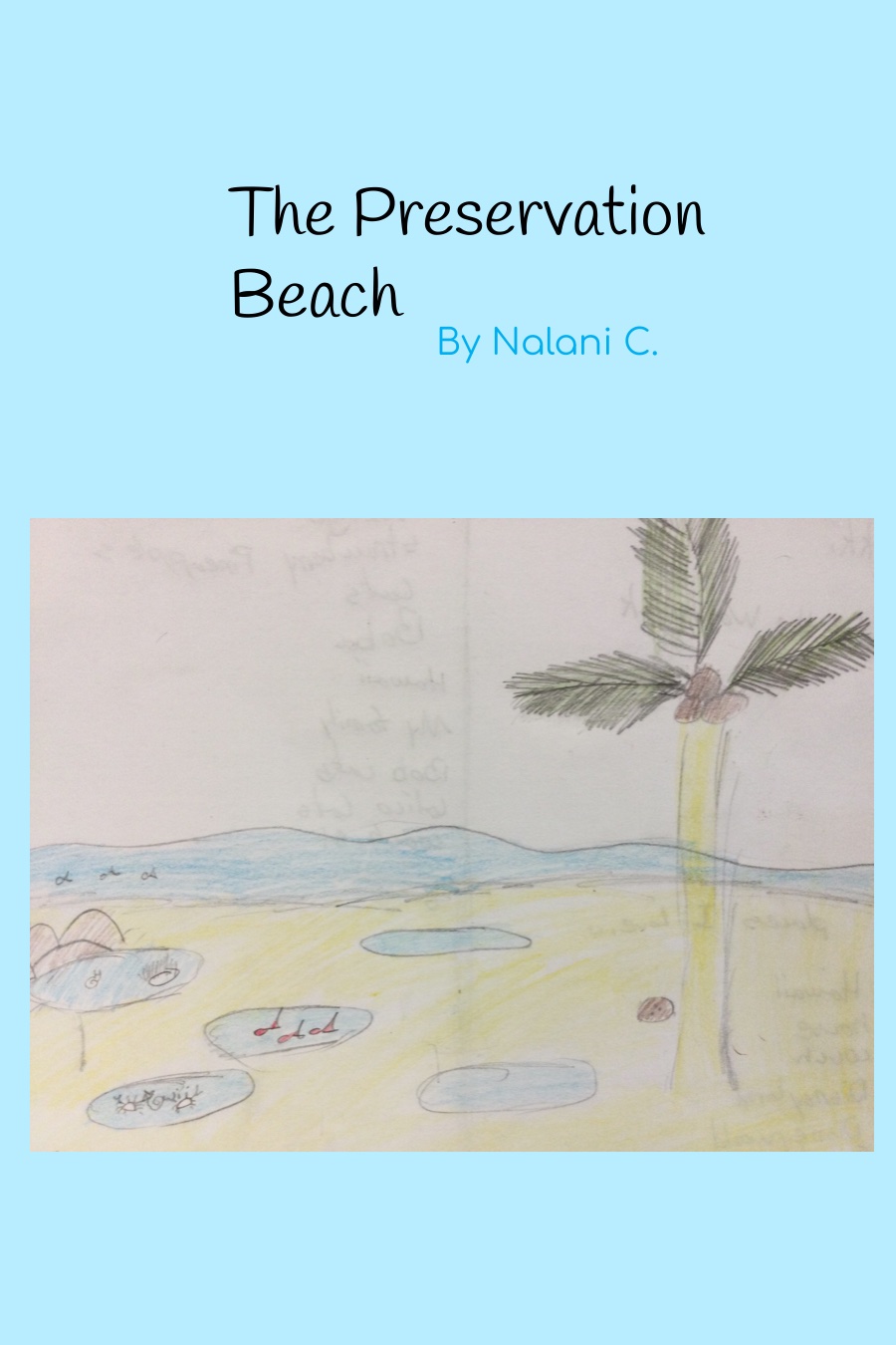 The Preservation Beach by Nalani C