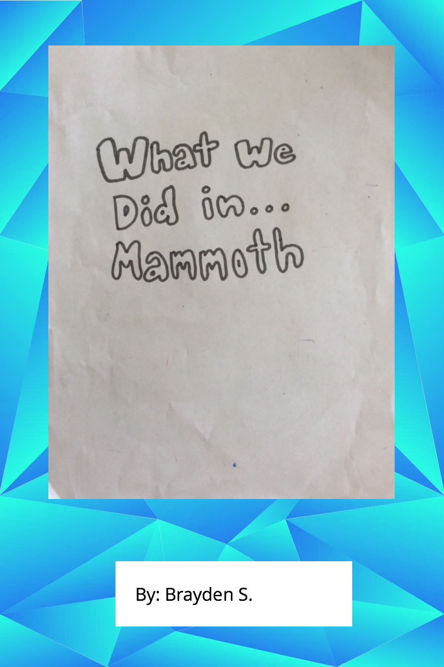 What We Did in Mammoth by Brayden S