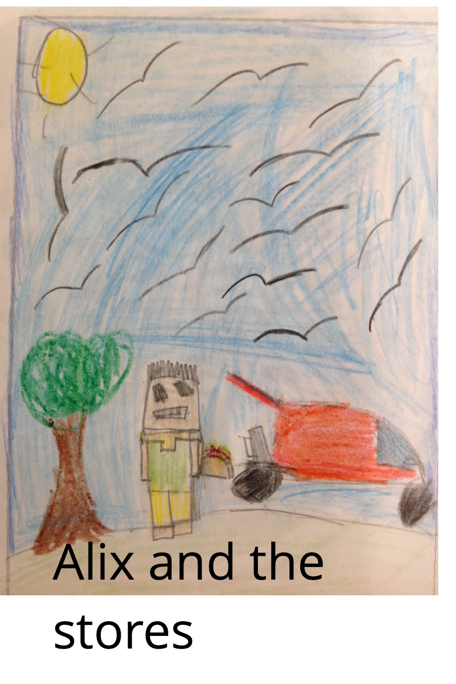 Alix and the Store By Evelyn S
