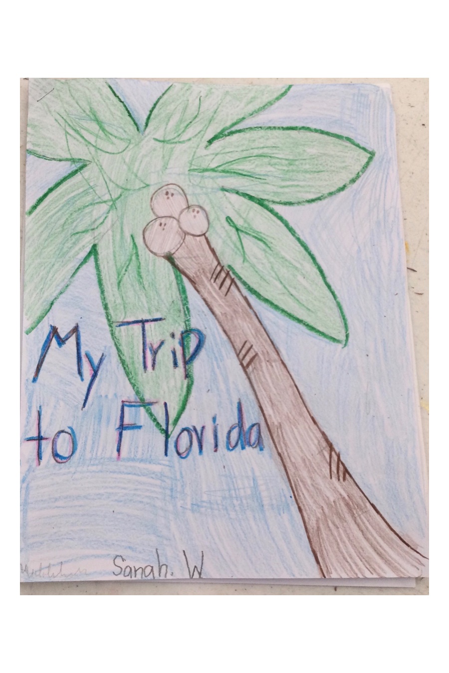 My Trip to Florida by Sanah W