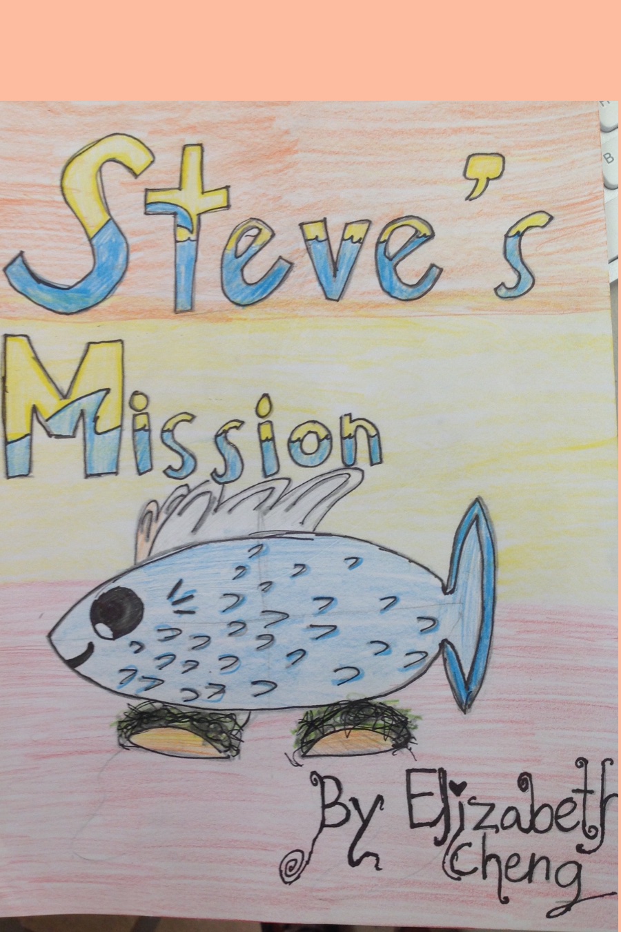 Steve’s Mission by Elizabeth C