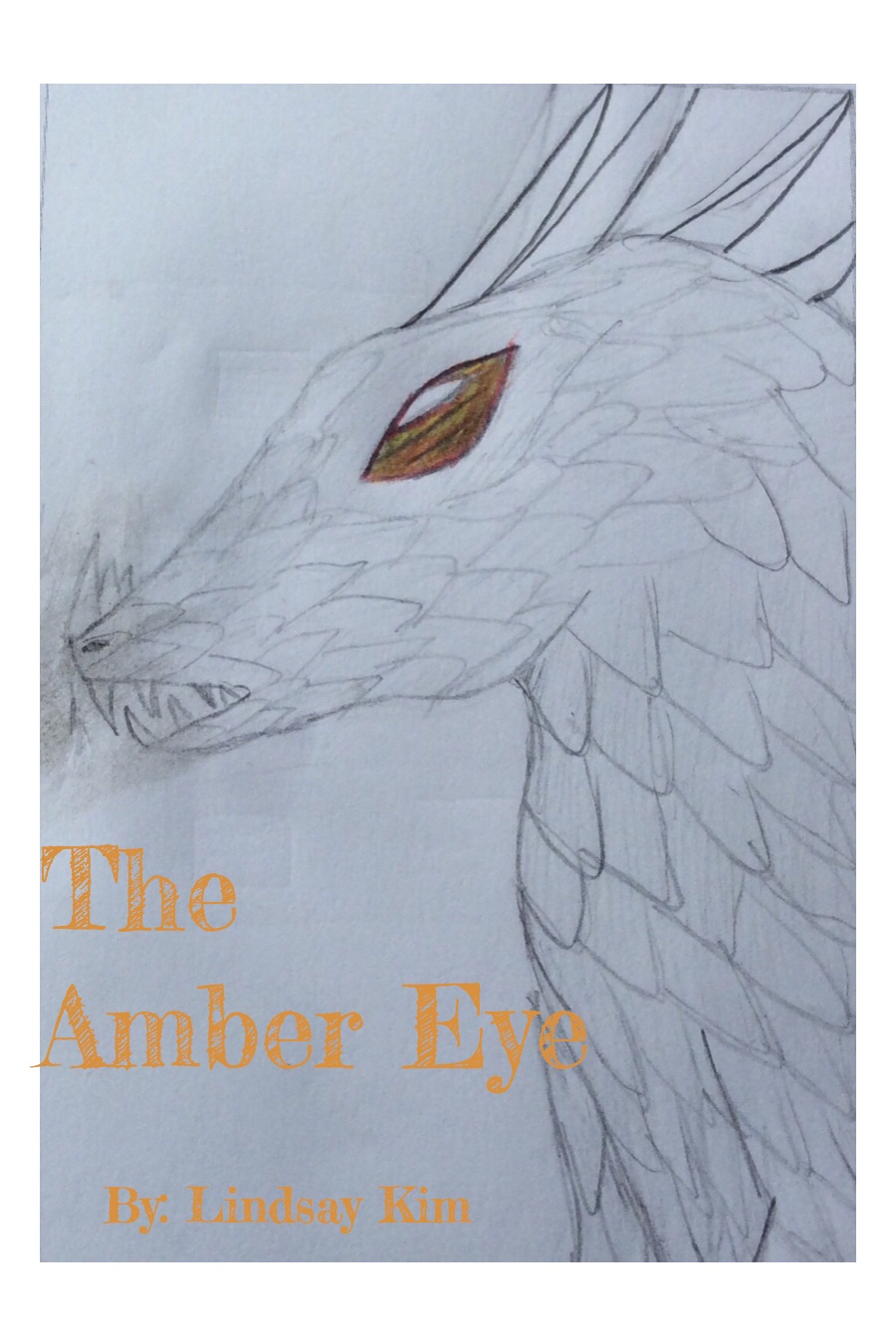 The Amber Eye by Lindsay K