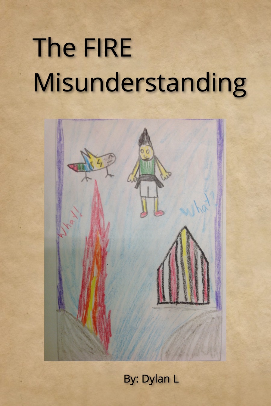 The FIRE Misunderstanding by Dylan L