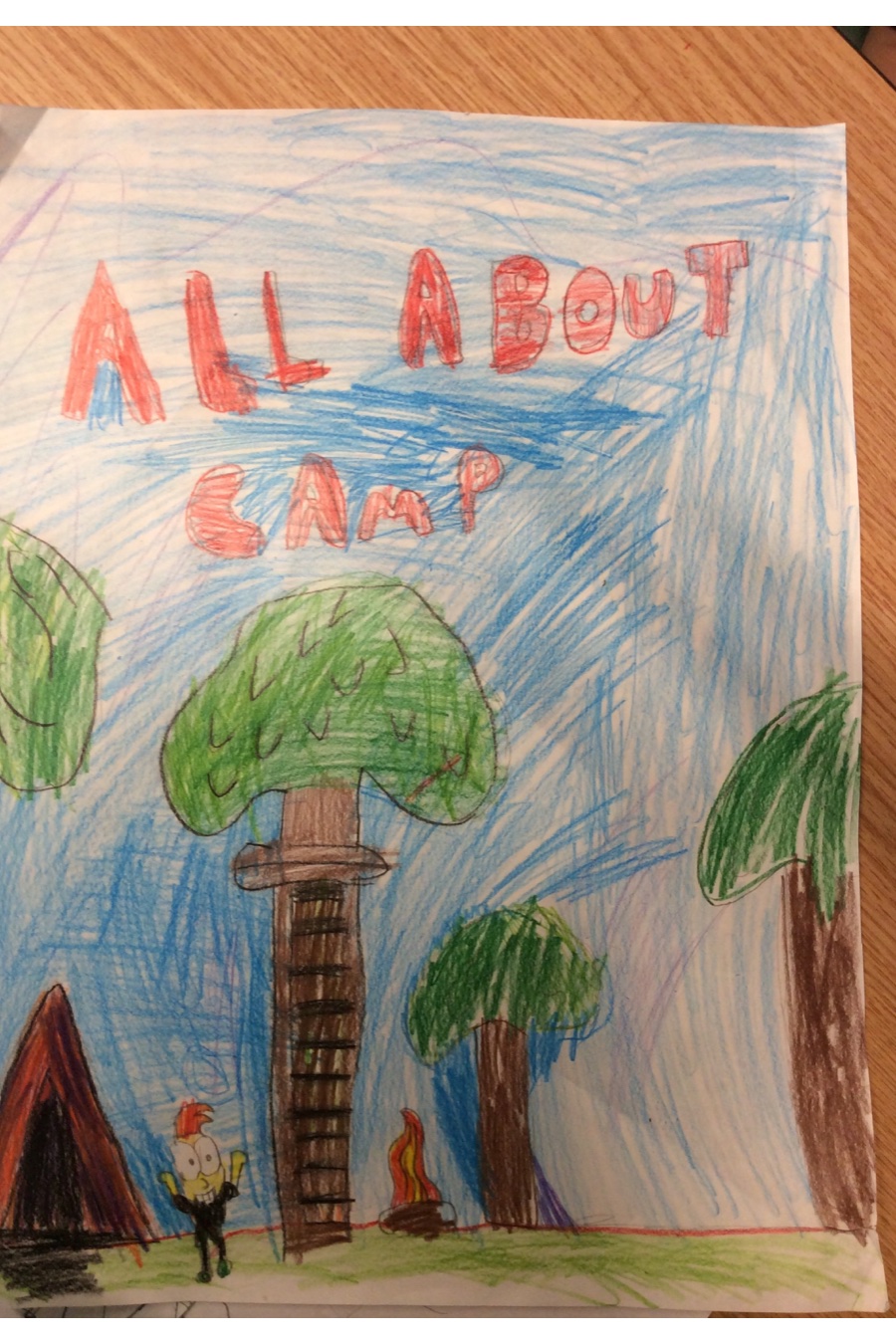 All About Camping by James C