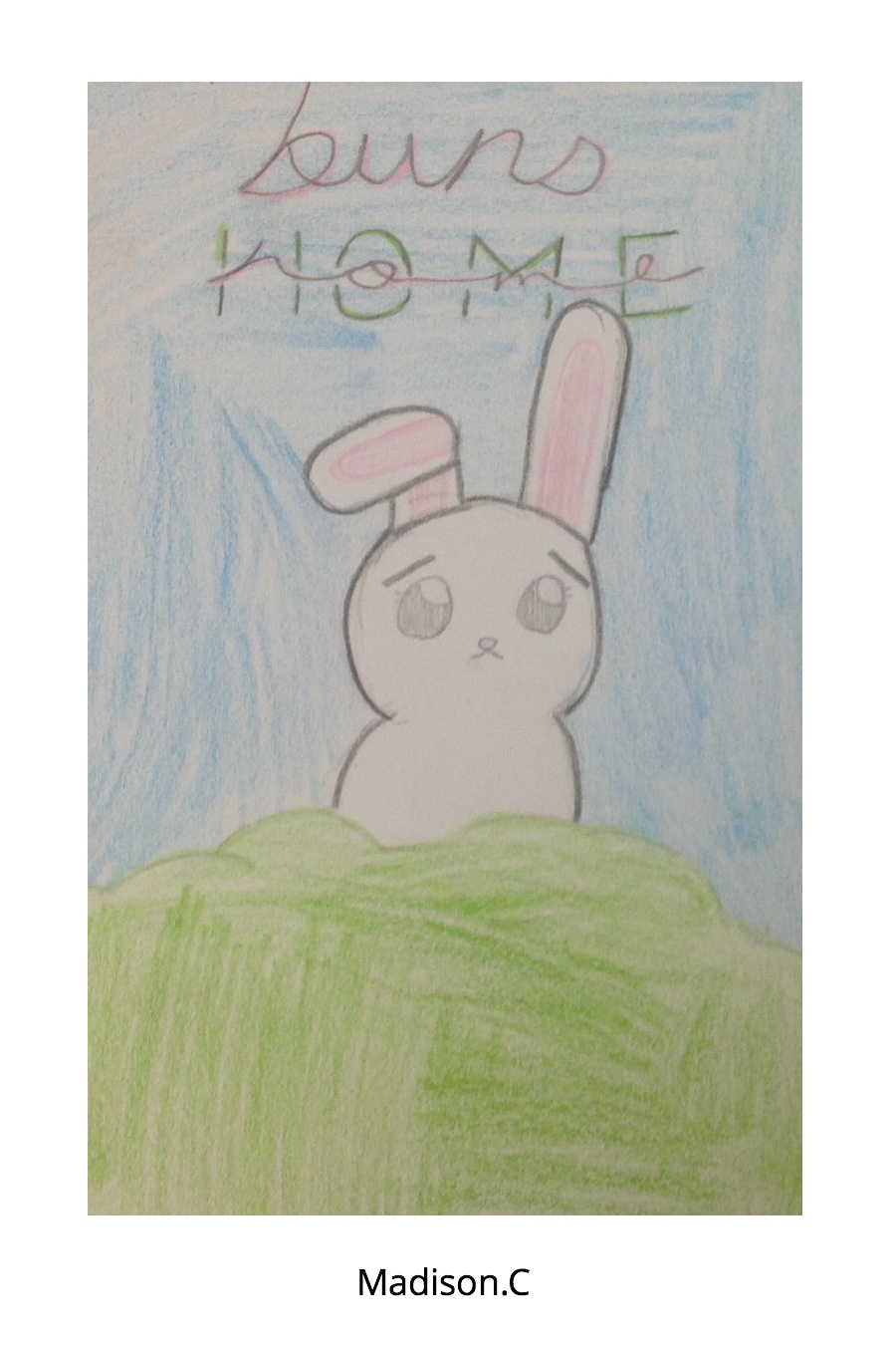Bun’s Home by Maddie Madison C