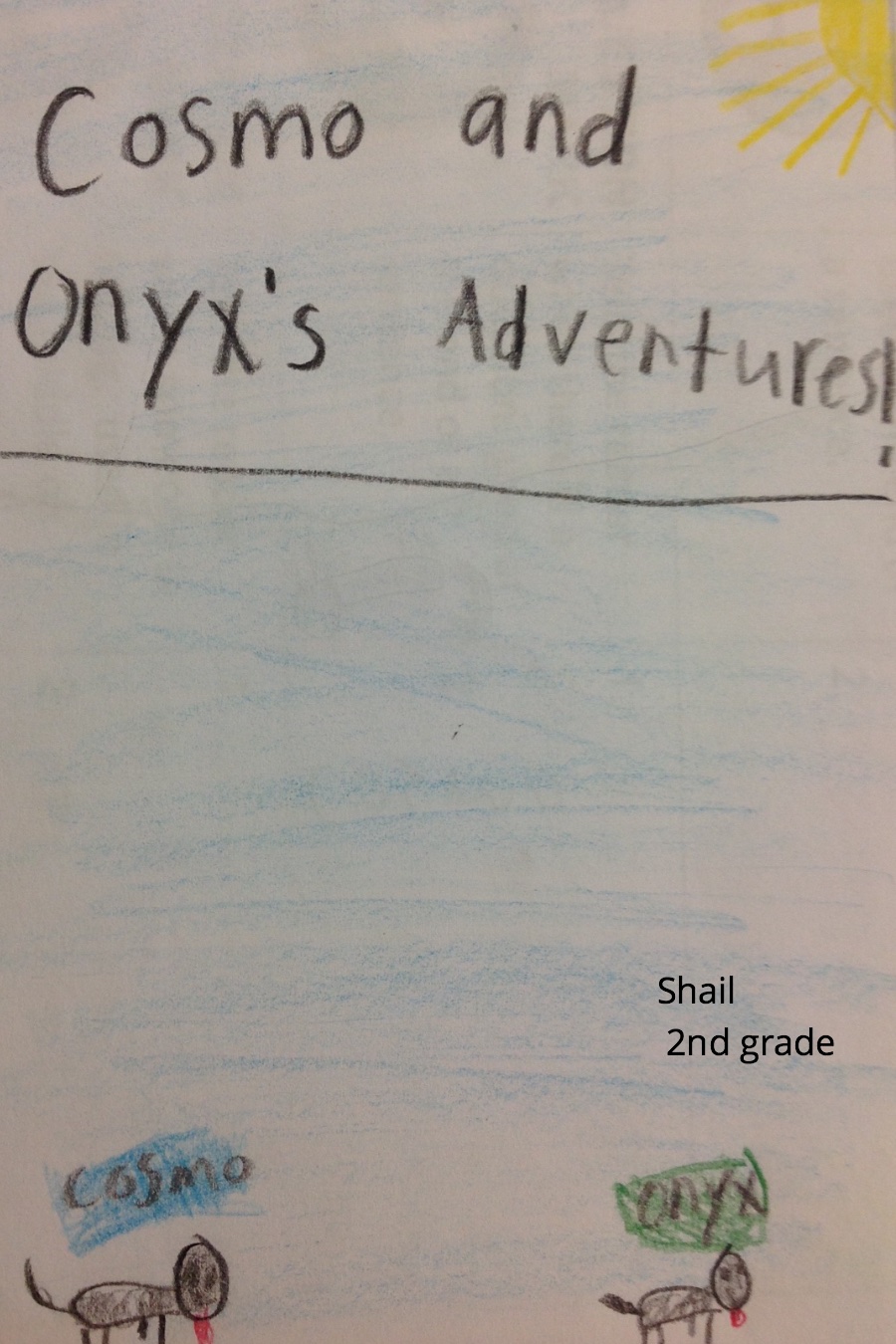 Cosmo and Onyx’s Adventures by Shail W