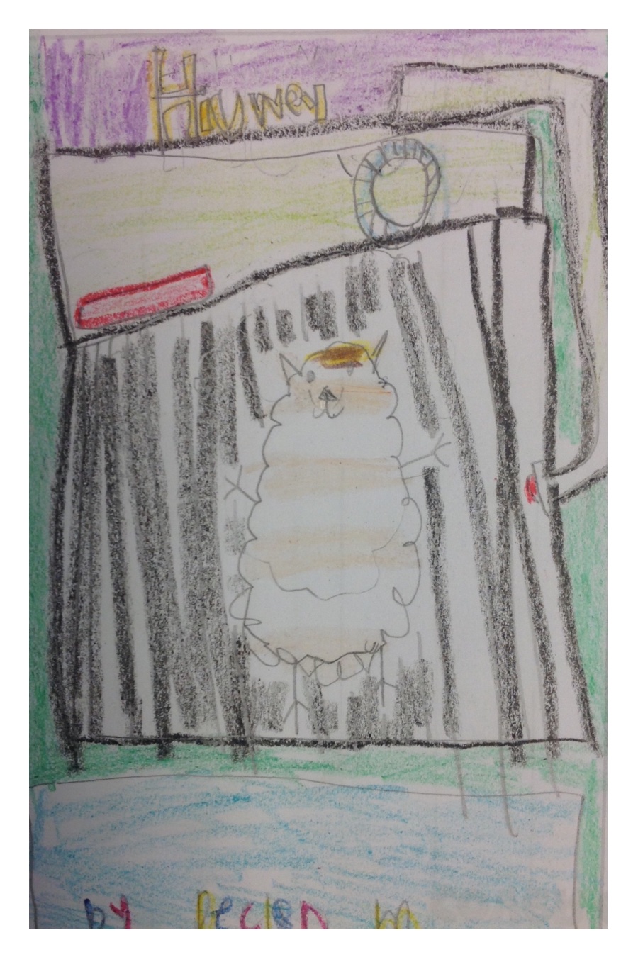 Have you ever wondered what makes a hamster happy? By Declan M