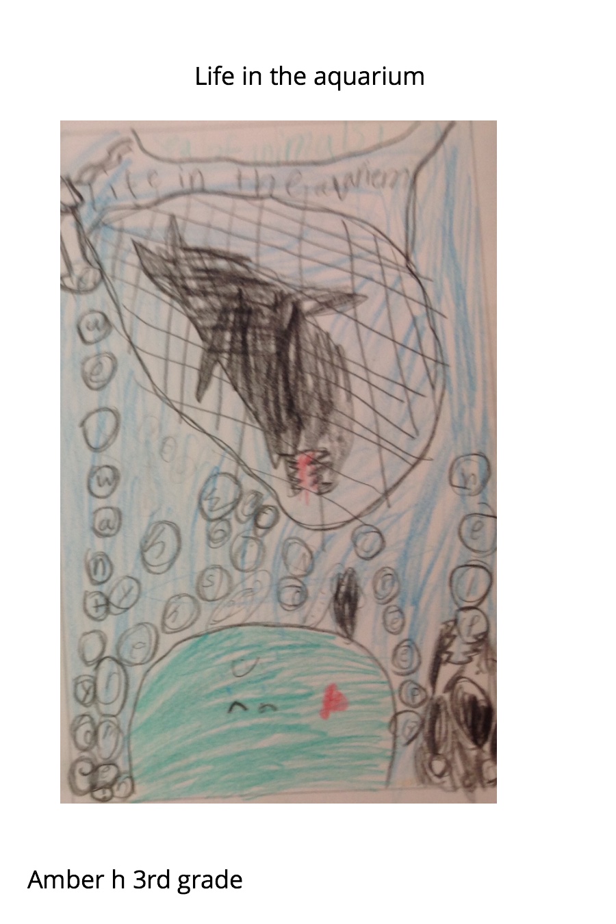 Life in the Aquarium by Amber H