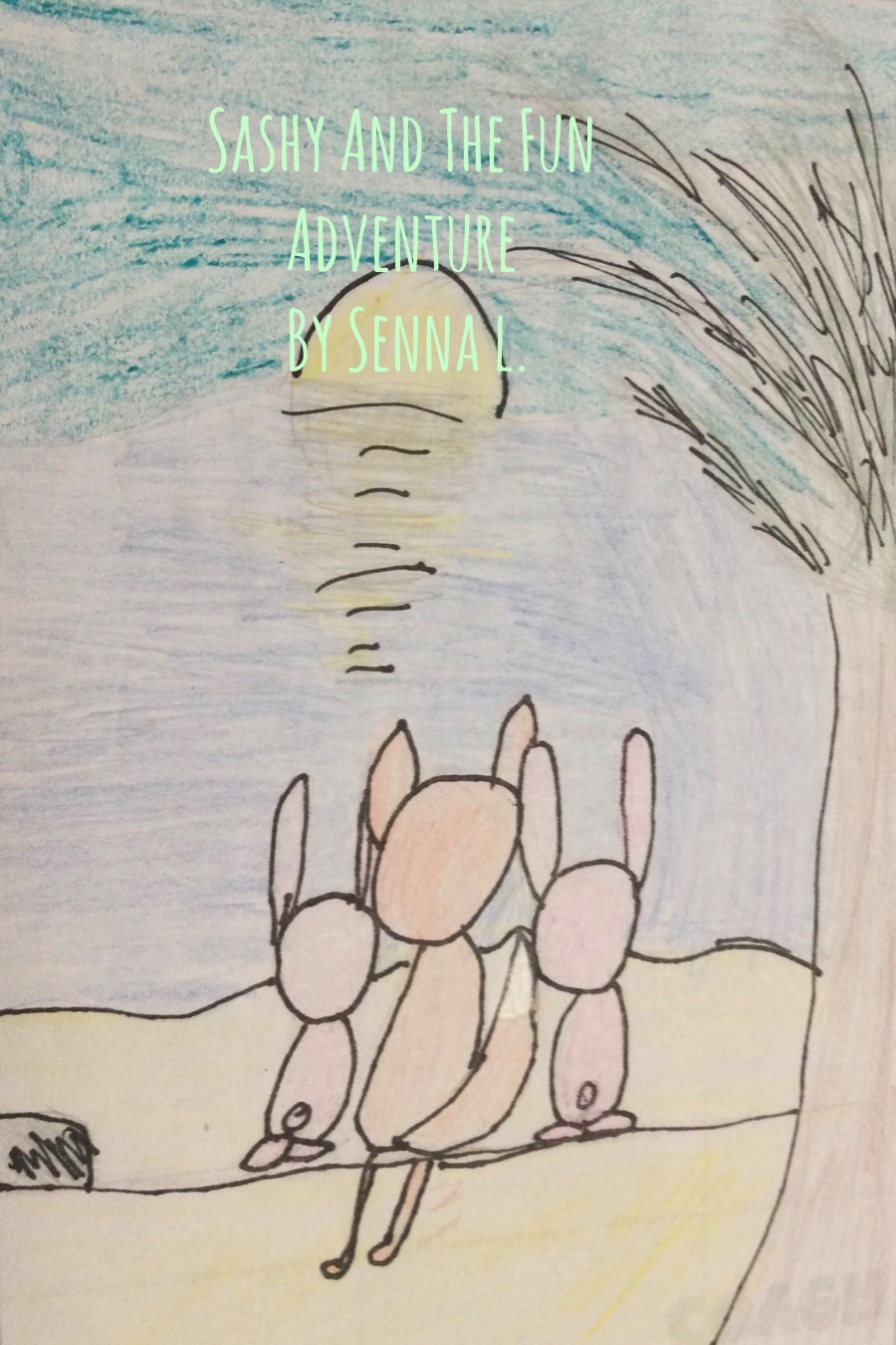 Sashy and the Fun Adventure by Senna L