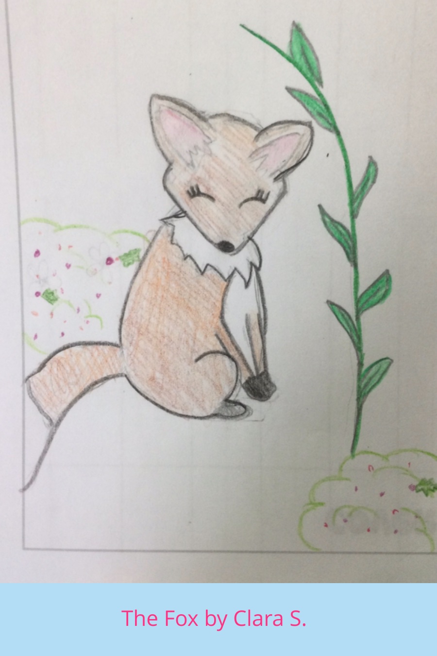 The Fox by Clara S