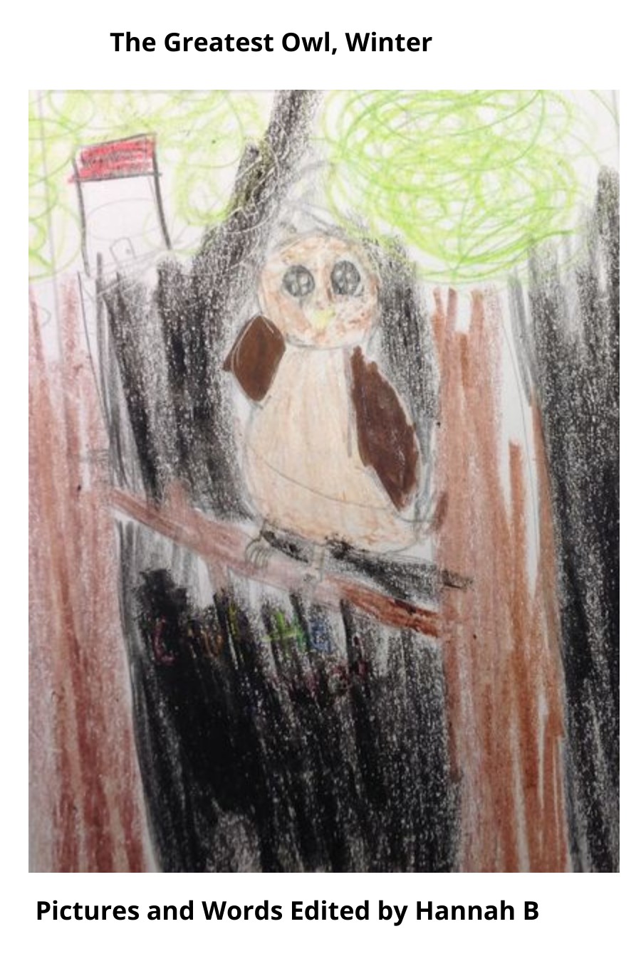 The Great Owl, Winter by Hannah B