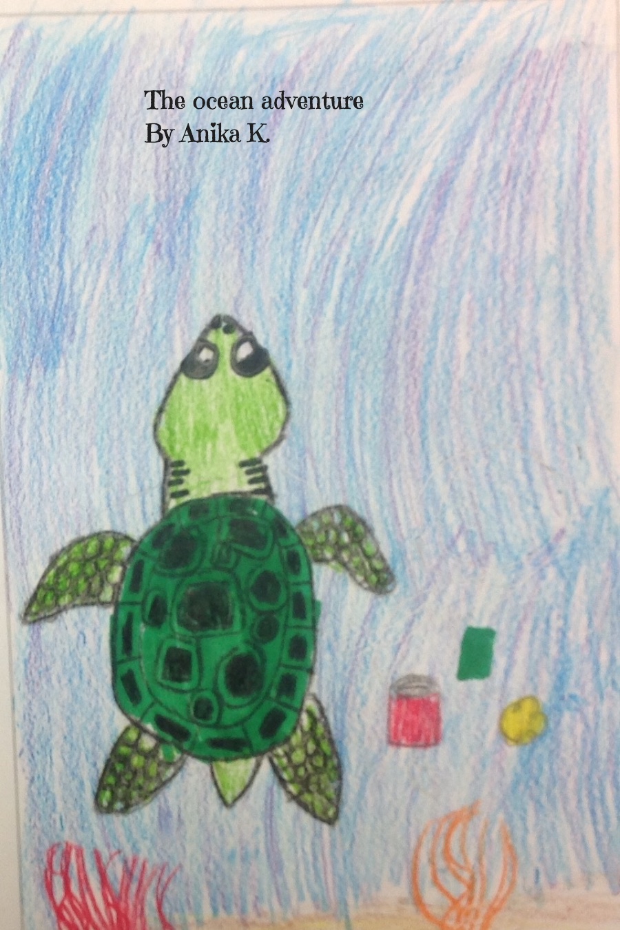 The Ocean Adventure by Anika K