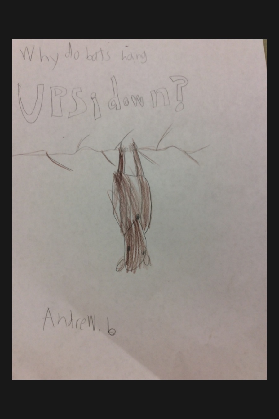 Why Do Bats Hang Upside Down_ by Andrew B