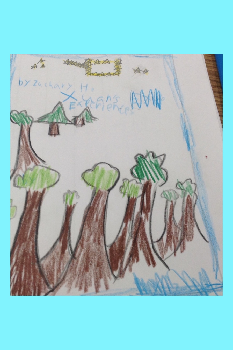 Xuan’s Experiences by Zachary H