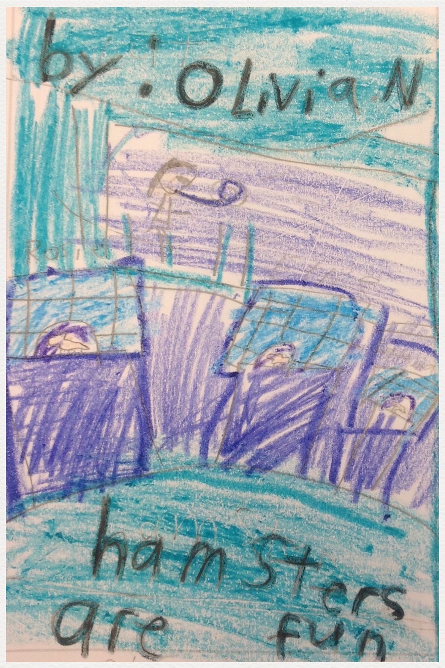 Hamsters are Fun by Olivia N