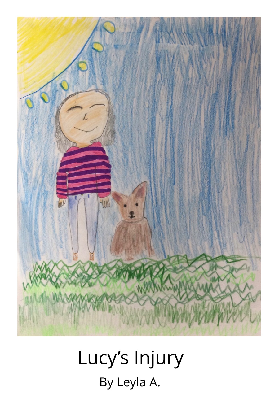 Lucy’s Injury by Leyla A